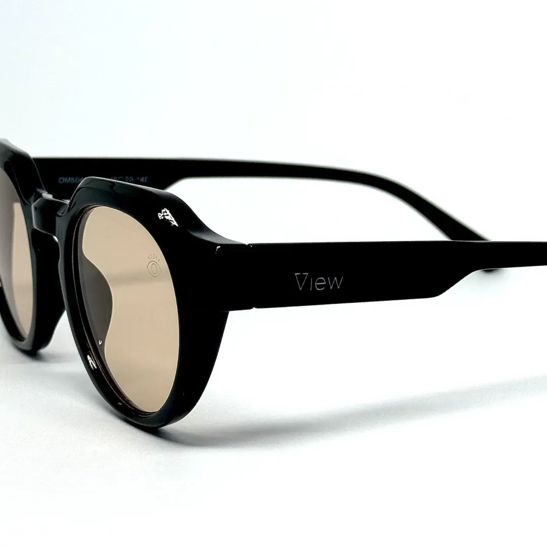 Óculos de Sol Bridget Preto Brilho_Marrom(2) View Eyewear